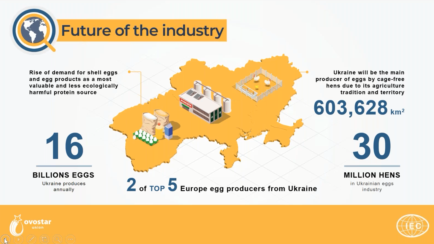 український ринок яєць та яєчних продуктів